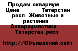 Продам аквариум . › Цена ­ 3 000 - Татарстан респ. Животные и растения » Аквариумистика   . Татарстан респ.